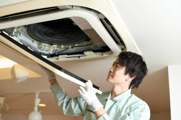 Best Air Duct Mold Removal  in Phoenix, OR